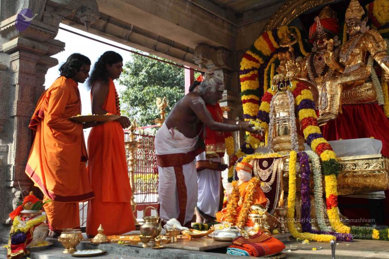 File:20091230IMG 1513 CMP WM0001.jpg