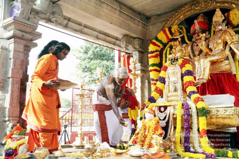 File:20091230IMG 1515 CMP WM00010.jpg