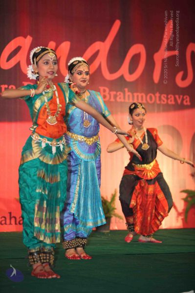 File:20091230IMG 2355 CMP WM001.jpg