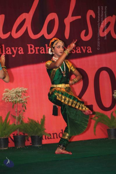 File:20091230IMG 2450 CMP WM001.jpg