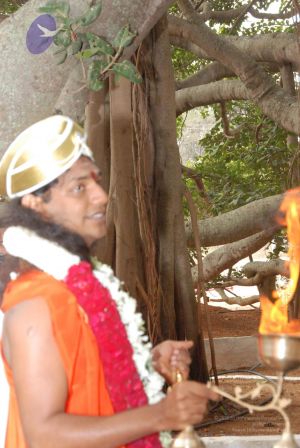 20091231 DSC 0300 CMP WM 00001000.jpg