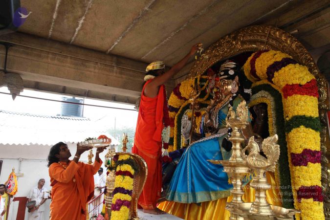 20091231 IMG 2933 CMP WM 00001000.jpg