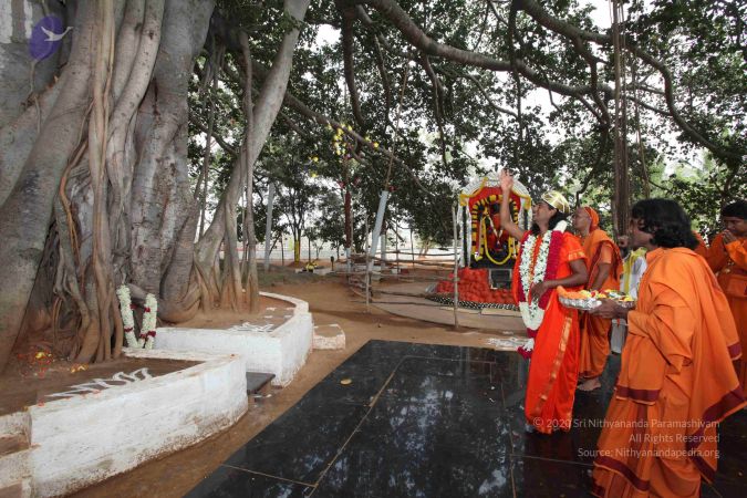 20091231 IMG 2965 CMP WM 00001000.jpg