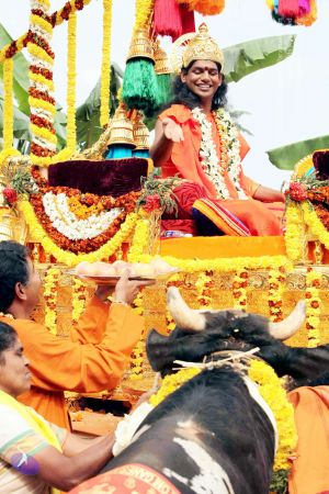 20091231 IMG 3199 CMP WMa01.jpg