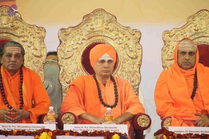 20091231 IMG 3567 CMP WM 010SF.jpg