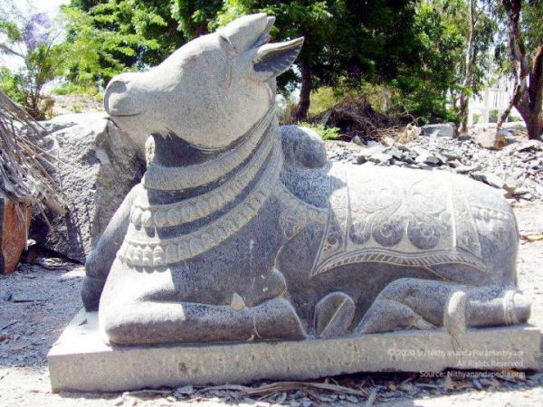 2009 1a CMP WM01.jpg