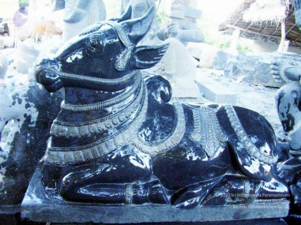 2009 3a CMP WM01.jpg