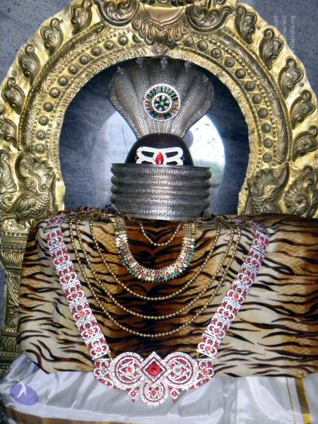 File:20100101DSCN2470 CMP WM001.jpg