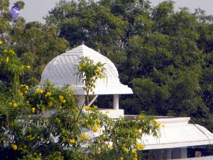 20100101DSCN2477 CMP WM001.jpg