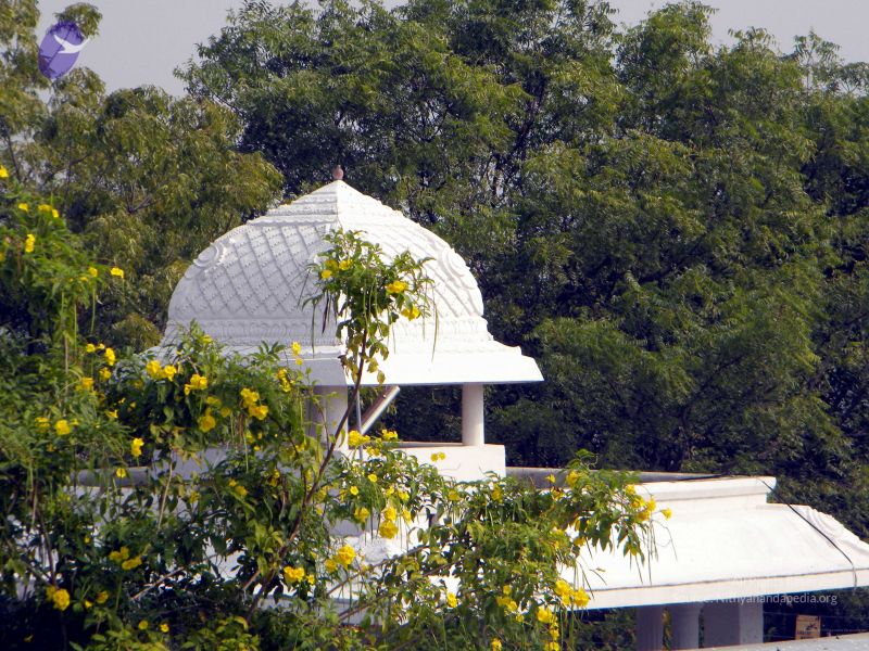 File:20100101DSCN2477 CMP WM001.jpg