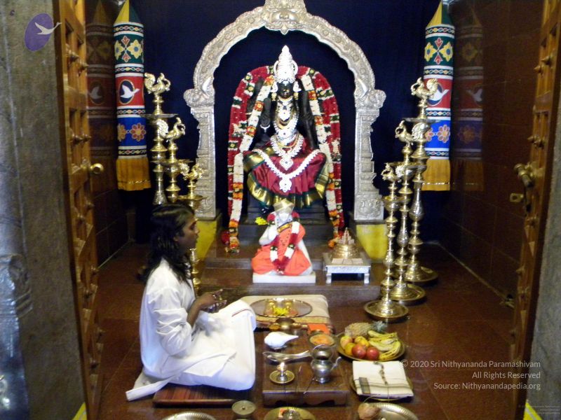 File:20100101DSCN2482 CMP WM001.jpg