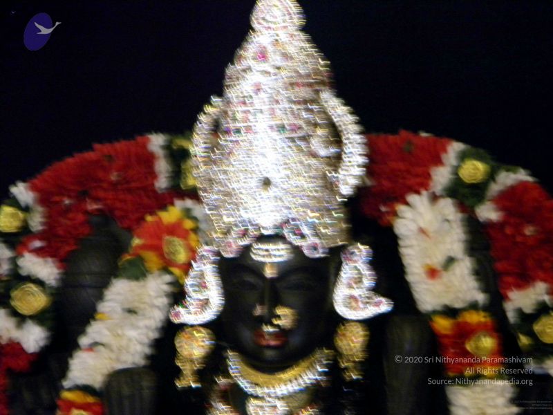 File:20100101DSCN2507 CMP WM001.jpg