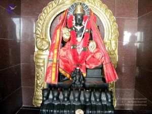 20100101DSCN2520 CMP WM001.jpg