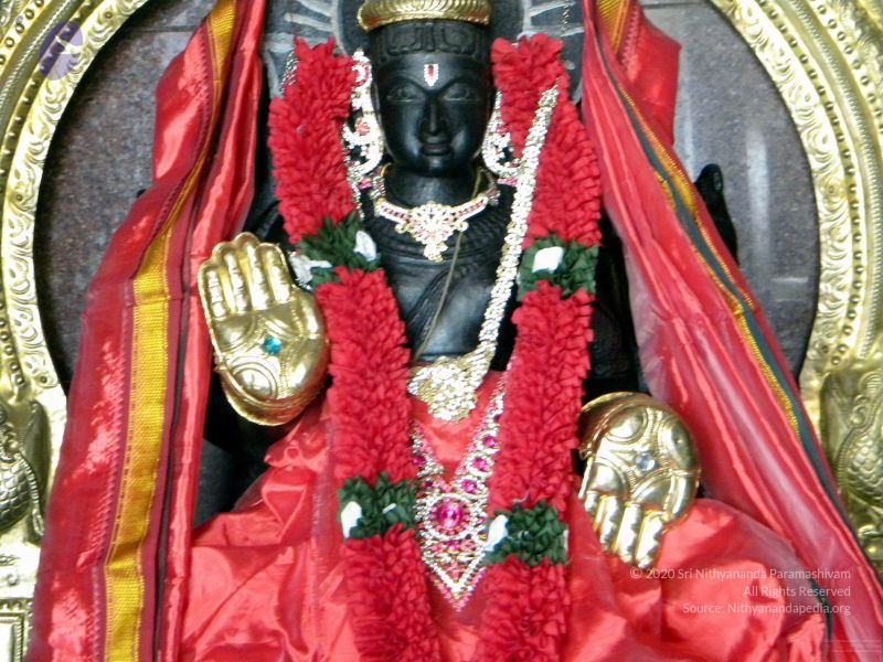 File:20100101DSCN2521 CMP WM001.jpg