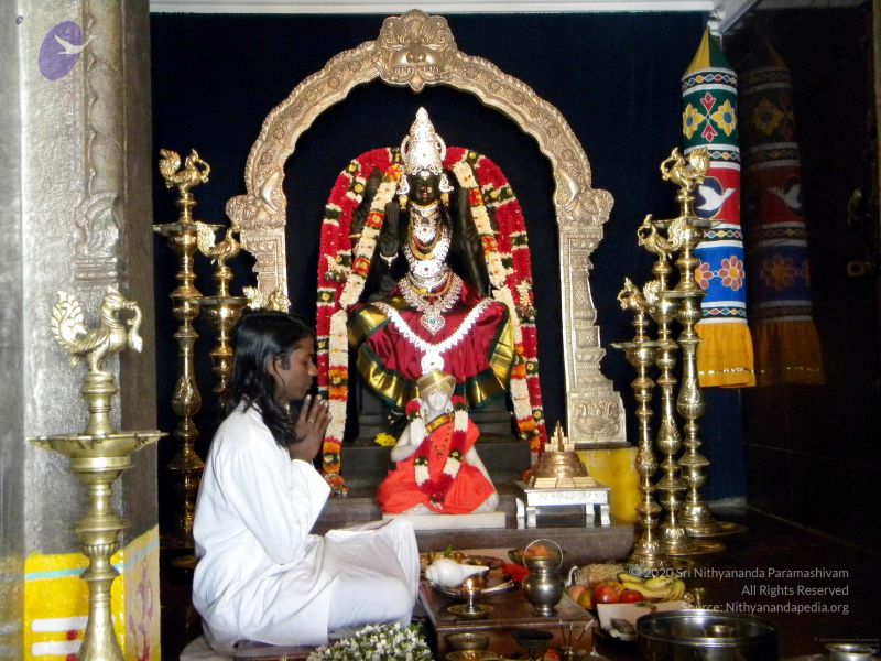 File:20100101DSCN2523 CMP WM001.jpg