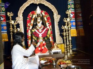 20100101DSCN2526 CMP WM001.jpg