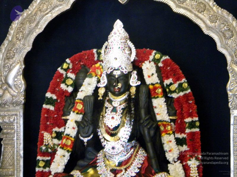 File:20100101DSCN2529 CMP WM001.jpg