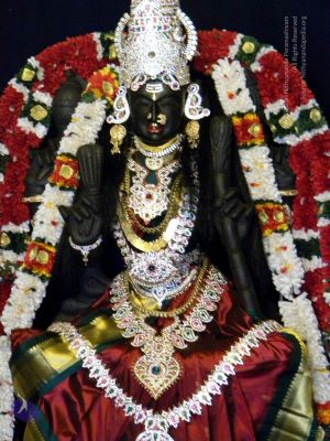 20100101DSCN2532 CMP WM001.jpg