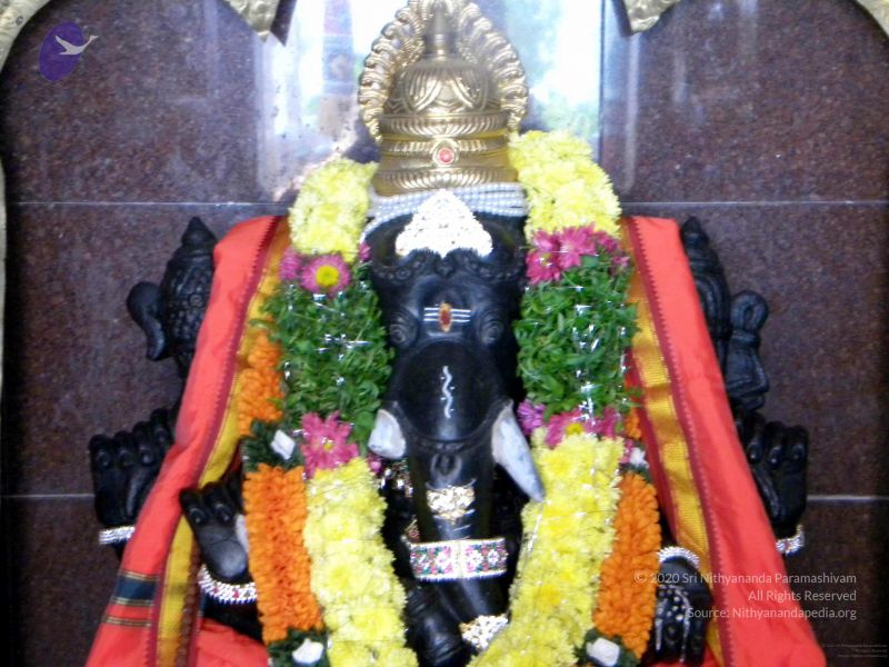 File:20100101DSCN2549 CMP WM001.jpg