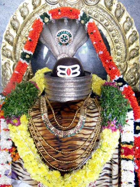 File:20100101DSCN2557 CMP WM001.jpg