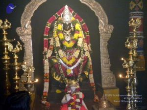 20100101DSCN2587 CMP WM001.jpg