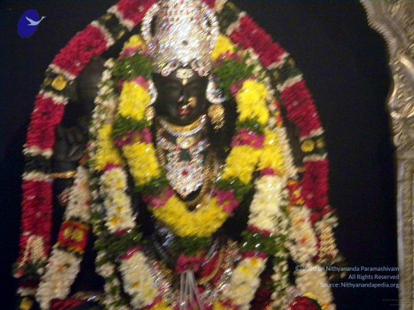 20100101DSCN2591 CMP WM001.jpg