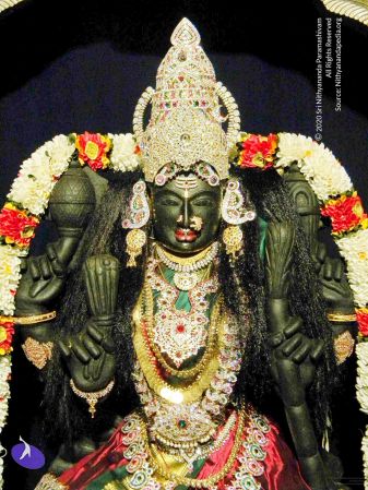 20100101DSCN2633 CMP WM001.jpg