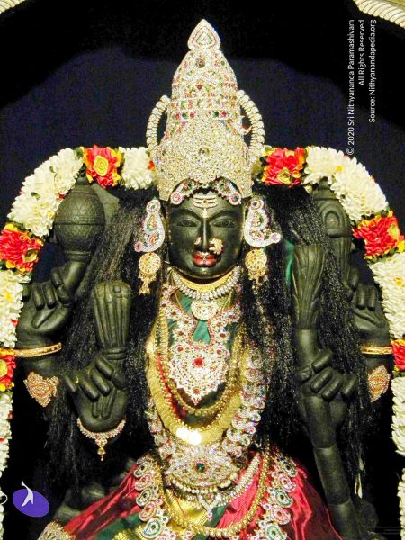 File:20100101DSCN2633 CMP WM001.jpg