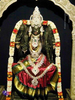 20100101DSCN2634 CMP WM001.jpg