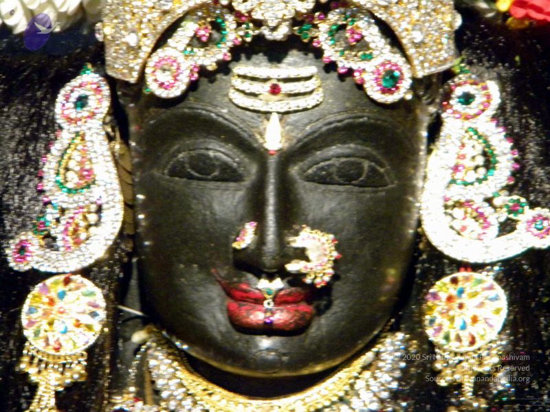 File:20100101DSCN2637 CMP WM001.jpg