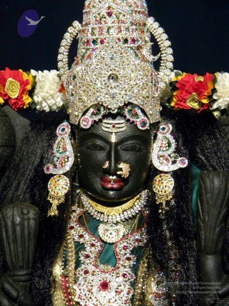 File:20100101DSCN2638 CMP WM001.jpg