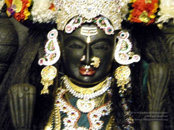 20100101DSCN2643 CMP WM001.jpg