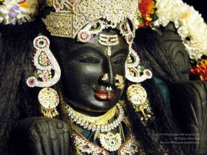 20100101DSCN2648 CMP WM001.jpg