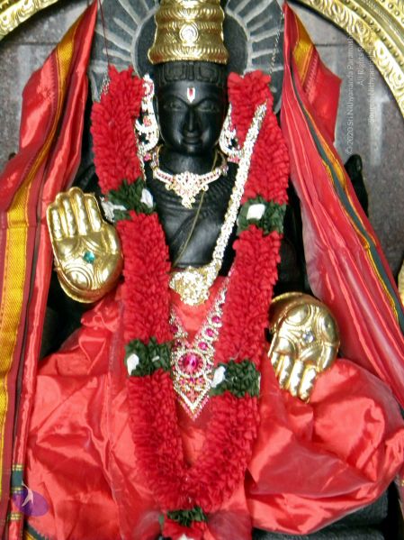 File:20100101 DSCN2522 CMP WM 0011.jpg