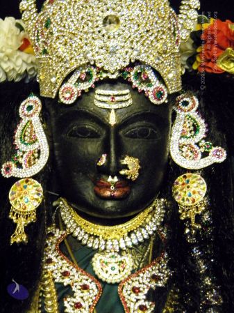 20100101 DSCN2652 CMP WM 0011.jpg