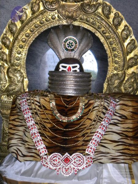 File:20100101 Photo 1020 1tncs5o X9bpYKXnXgx8VZieKcQVv4kkz.JPG