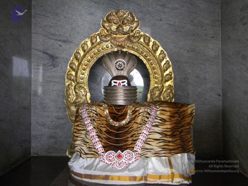 File:20100101 Photo 1021 1-pjJrWxizmK15Ff 7kWmxAixpJTKXfi0.JPG