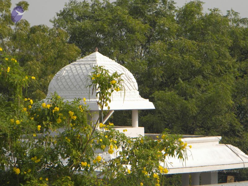 File:20100101 Photo 1026 1CtVONje FRxul7B4W5V D-erFKclPPkc.JPG