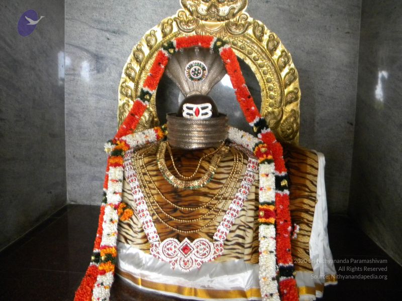 File:20100101 Photo 1048 1DDBptqg-xnJXDwsLCo2l5xXJYte5CtLE.JPG