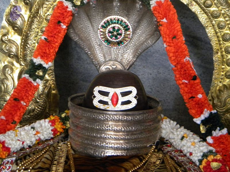 File:20100101 Photo 1050 1bz6 -NEwugZGxOuowckKbETI7kEC90II.JPG