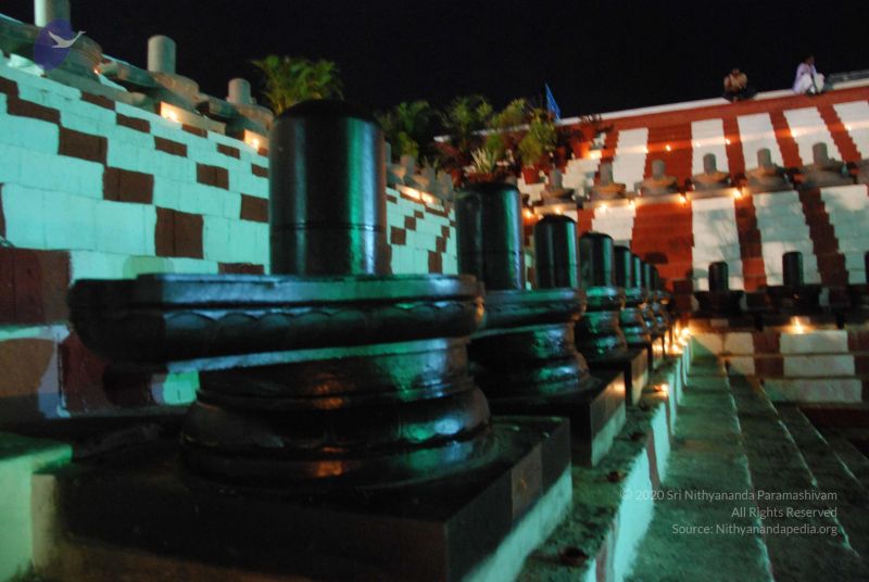 File:20100102 Photo 1221 1IbHGh2BGedos-F4vSWvoWpvsc10pdmig.JPG