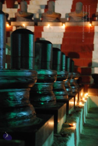 File:20100102 Photo 1222 1 tf9m PY9Nj0C 6OkaMPIAom5ua70QdO.JPG