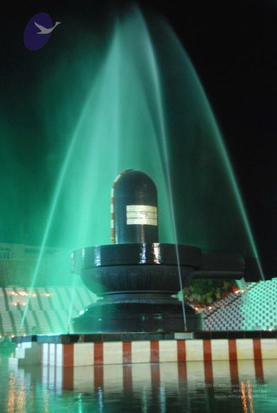 File:20100102 Photo 1225 1IQwrGQwpu9J2yvU2D6NxCwS iQ7gSnks.JPG