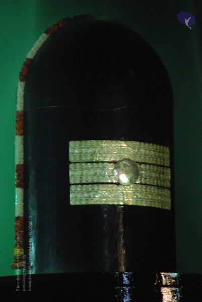 File:20100102 Photo 1230 1mualarQpfxVbo4UmONCM8ikH69KqCIVA.JPG