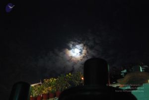 20100102 Photo 1233 14iieEc8KbWDGSTedqFjd4rpfvbtj4LP1.JPG