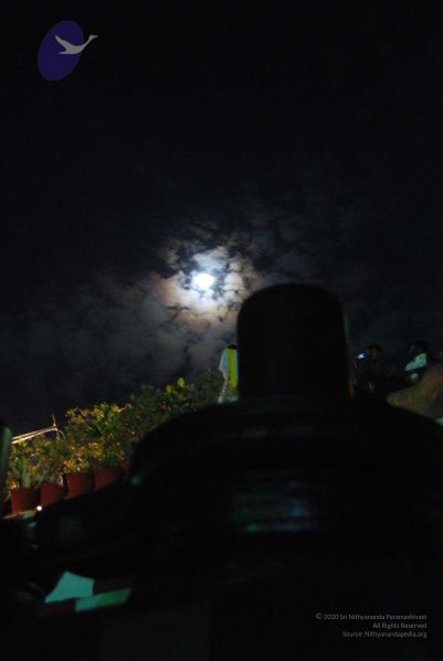 File:20100102 Photo 1235 1OY7nBertroPhclTAtMgcRiCPXxaxvwJJ.JPG