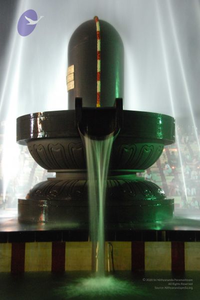 File:20100102 Photo 1239 1 Ru1h6ZMSTY4eplgW4yuZBzicQ9VRZ-q.JPG