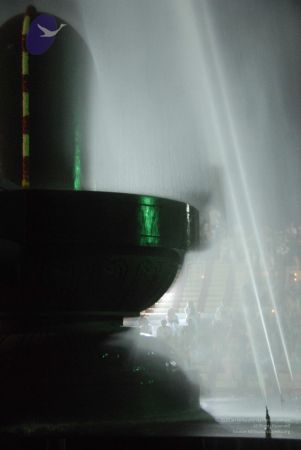 20100102 Photo 1250 1sxEjASD qfmEz4aRN Aty40DdkhW GBz.JPG