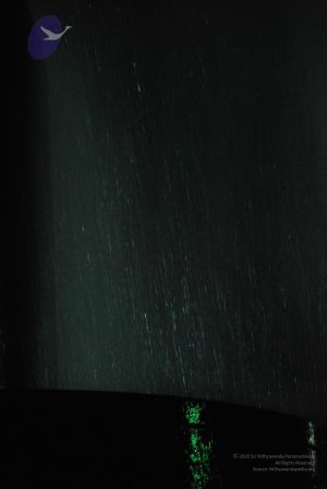 20100102 Photo 1258 1TQqQ6qKrwK1Sn0ChOQrdhetvnZMzoiZp.JPG