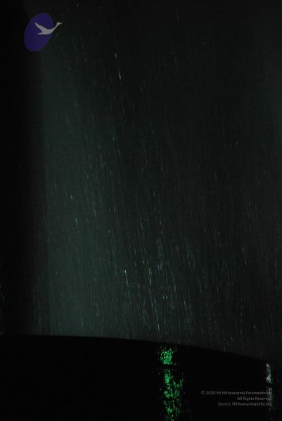 File:20100102 Photo 1258 1TQqQ6qKrwK1Sn0ChOQrdhetvnZMzoiZp.JPG